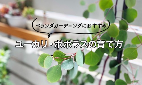 【大腿小腿内的脂肪怎么减掉】大小腿脂肪多怎么减 - 大腿小腿的脂肪怎么减掉网
